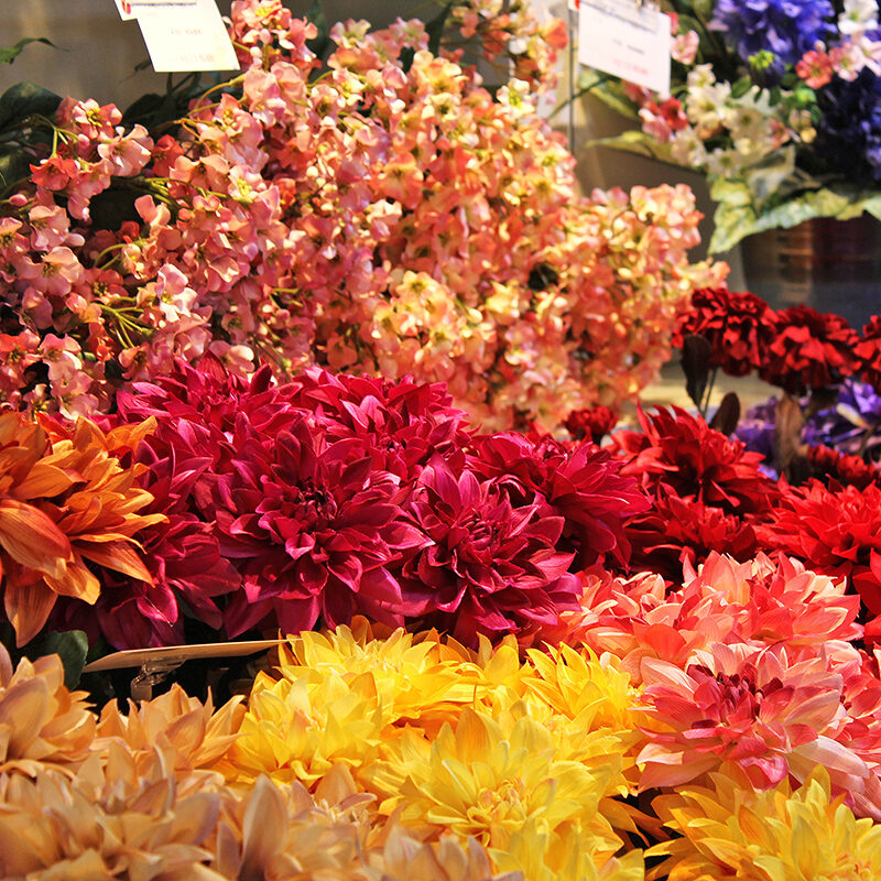 オンラインコース ２