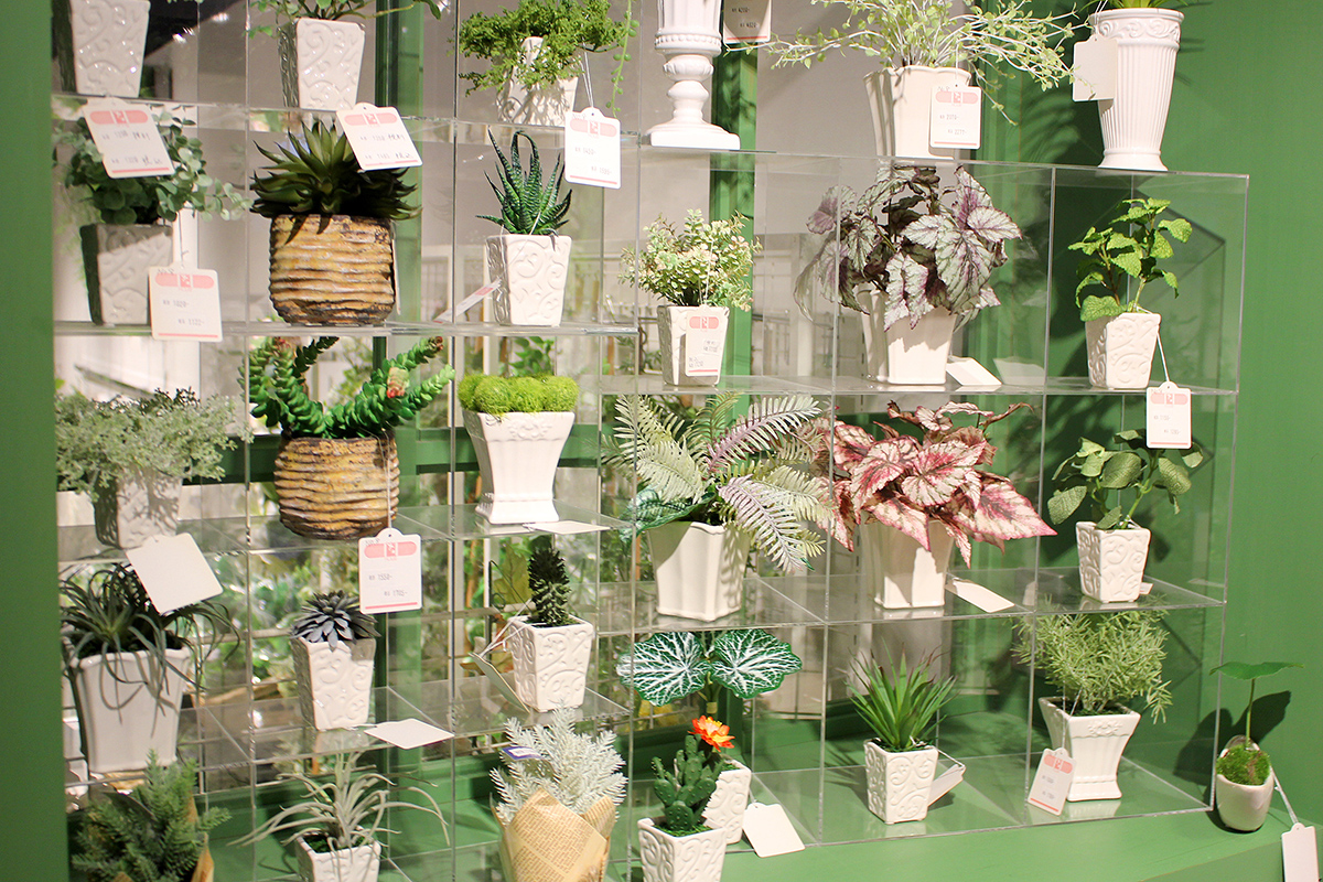 オンラインレッスン３